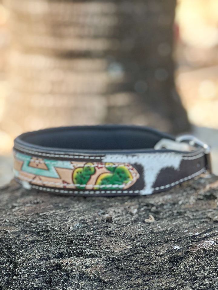 Desert Wanderer | (Large) Hand Tooled Painted Design and Cowhide Dog Collar