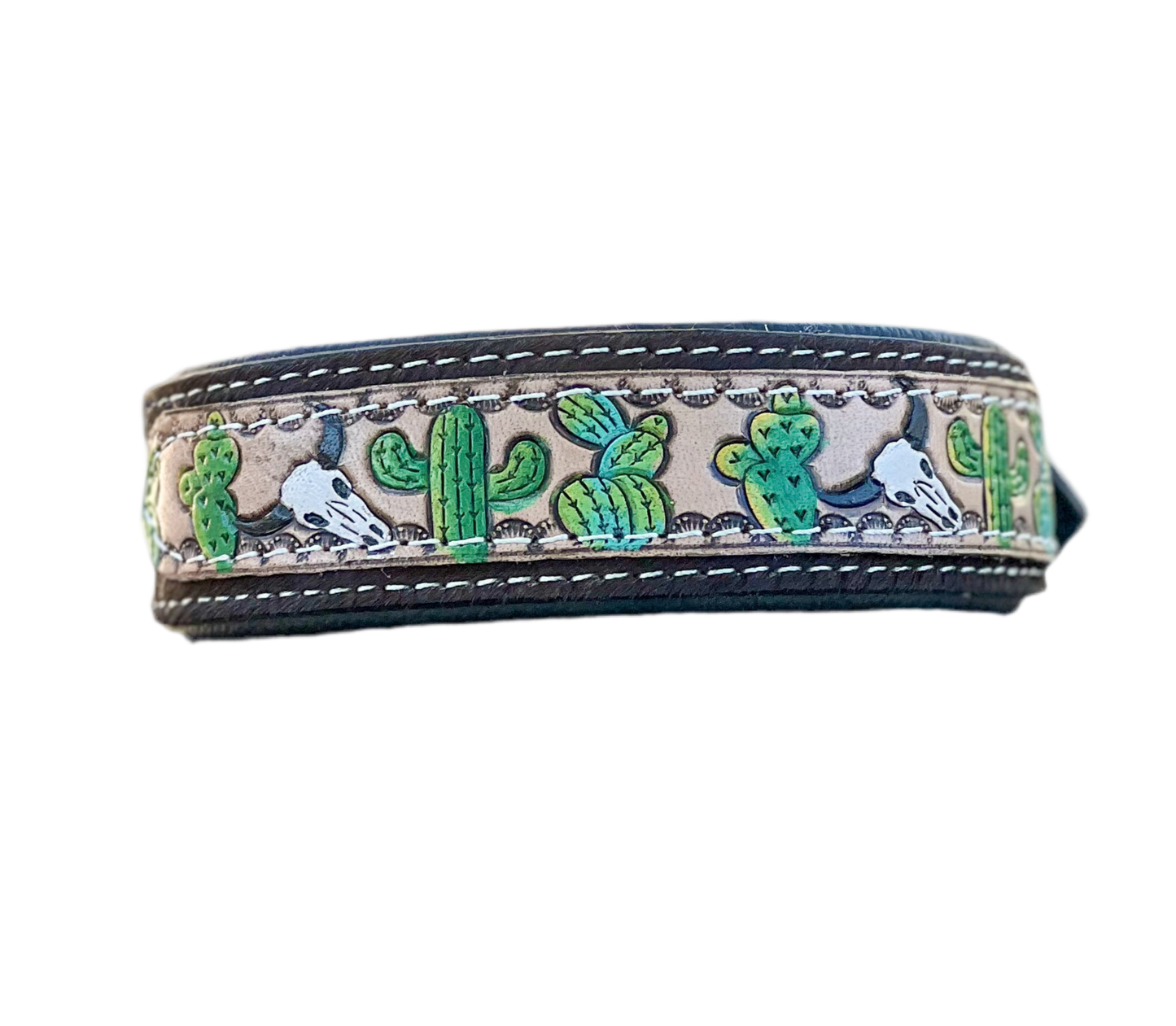 Trail Blazer : (M/L) Cowhide and Hand Tooled Leather Hand Painted Bull Cactus Design Dog Collar
