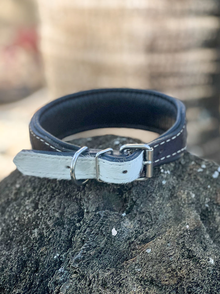 Trail Blazer | (M/L) Cowhide and Hand Tooled Leather Hand Painted Bull Cactus Design Dog Collar