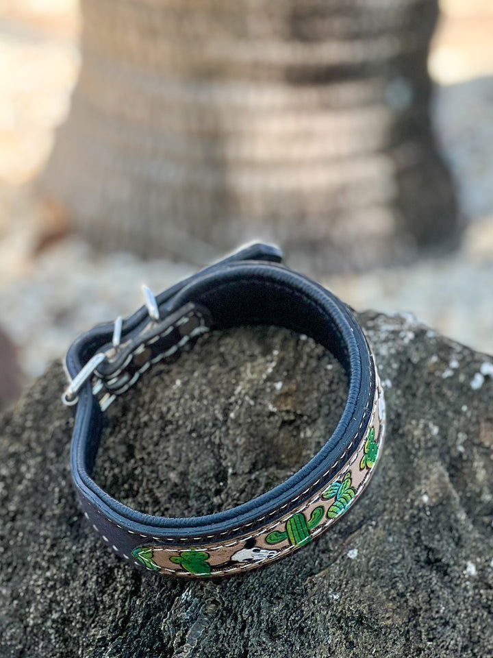 Trail Blazer | (M/L) Cowhide and Hand Tooled Leather Hand Painted Bull Cactus Design Dog Collar