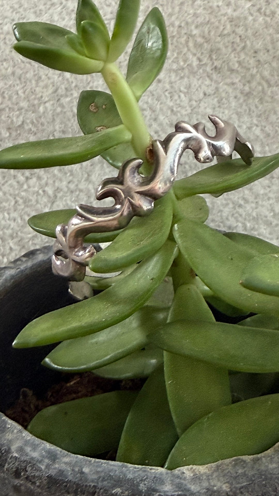 Vintage Navajo Sterling Silver Scroll Cuff Bracelet | Signed BN | Sculptural Southwestern Cuff | 6.25” Wrist