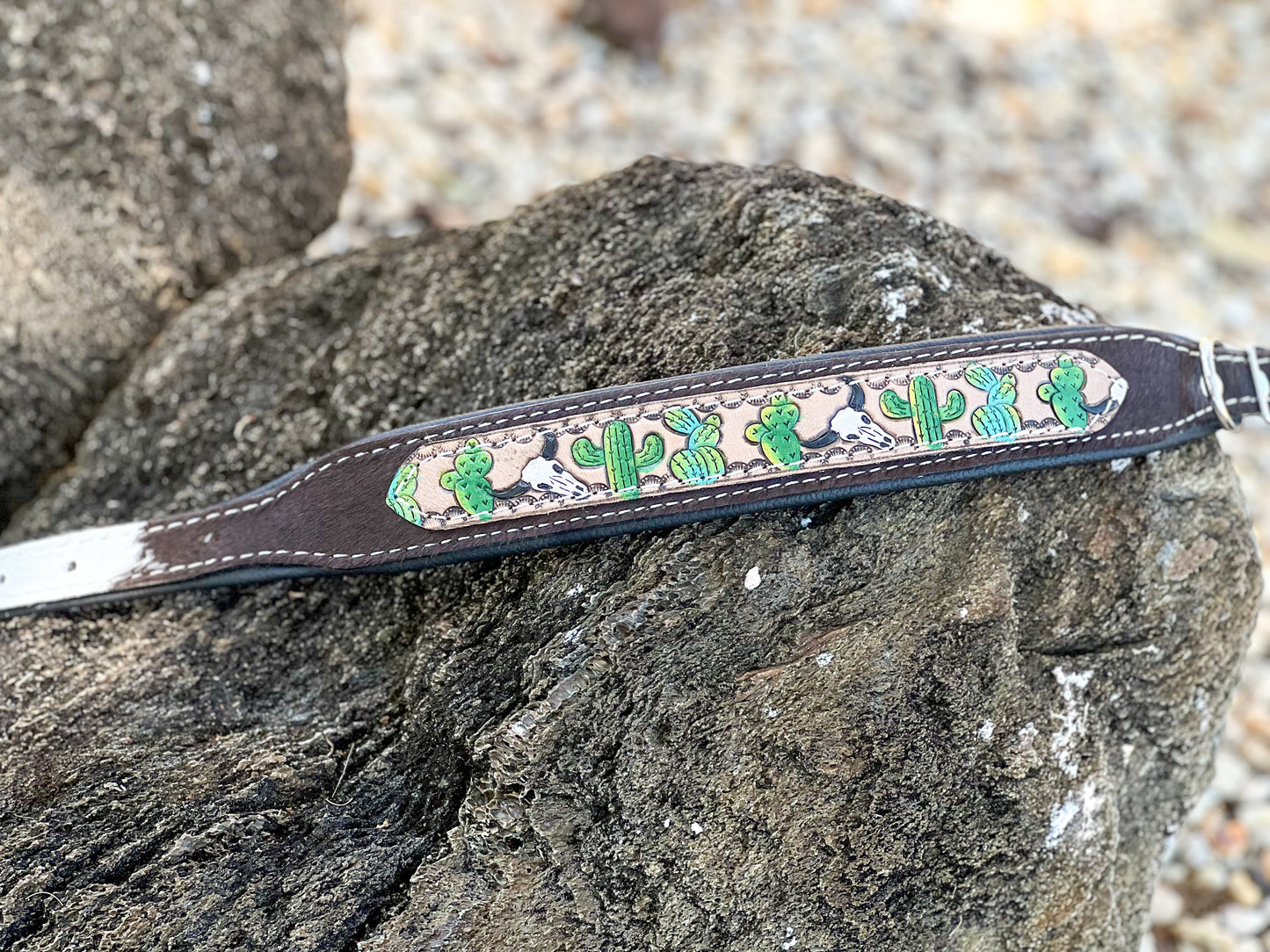 TRAIL BLAZER dog collar (M/L) cowhide and tooled leather hand painted bull cacti design