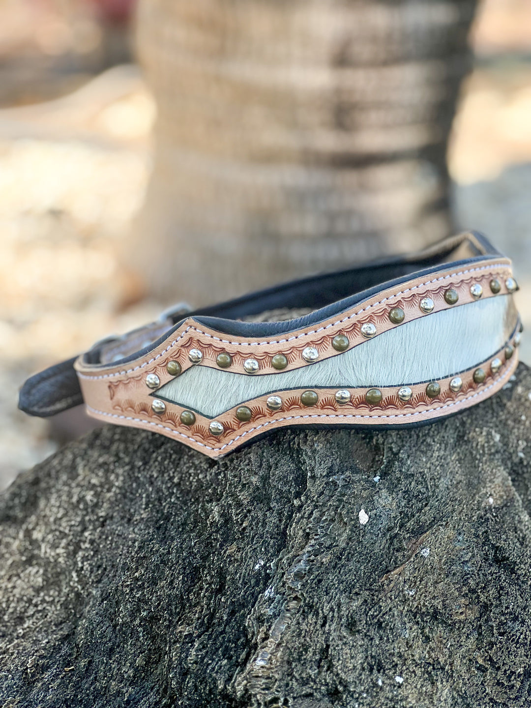 The Outlaw : (XL) cowhide tooled leather studded dog collar