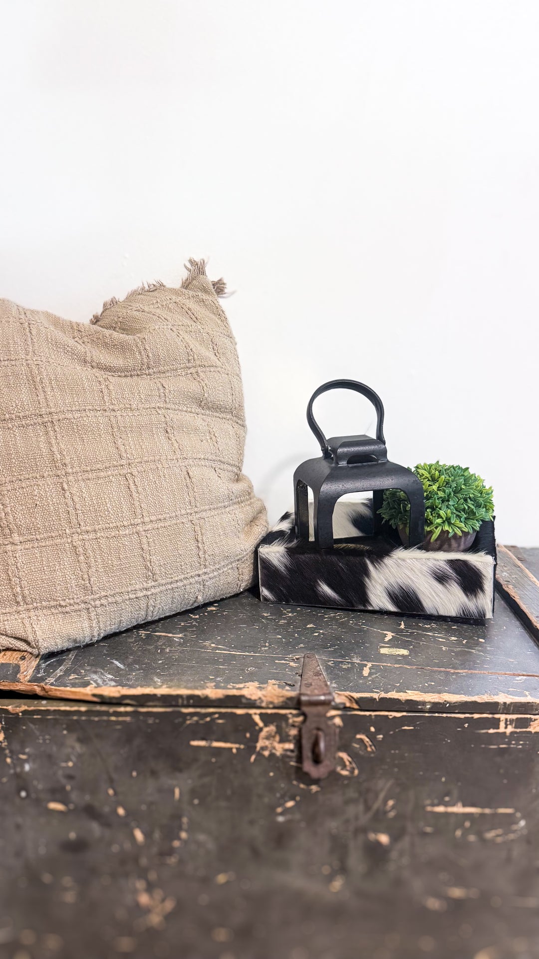 Black & White Cowhide Leather Display Tray | Western Home Décor