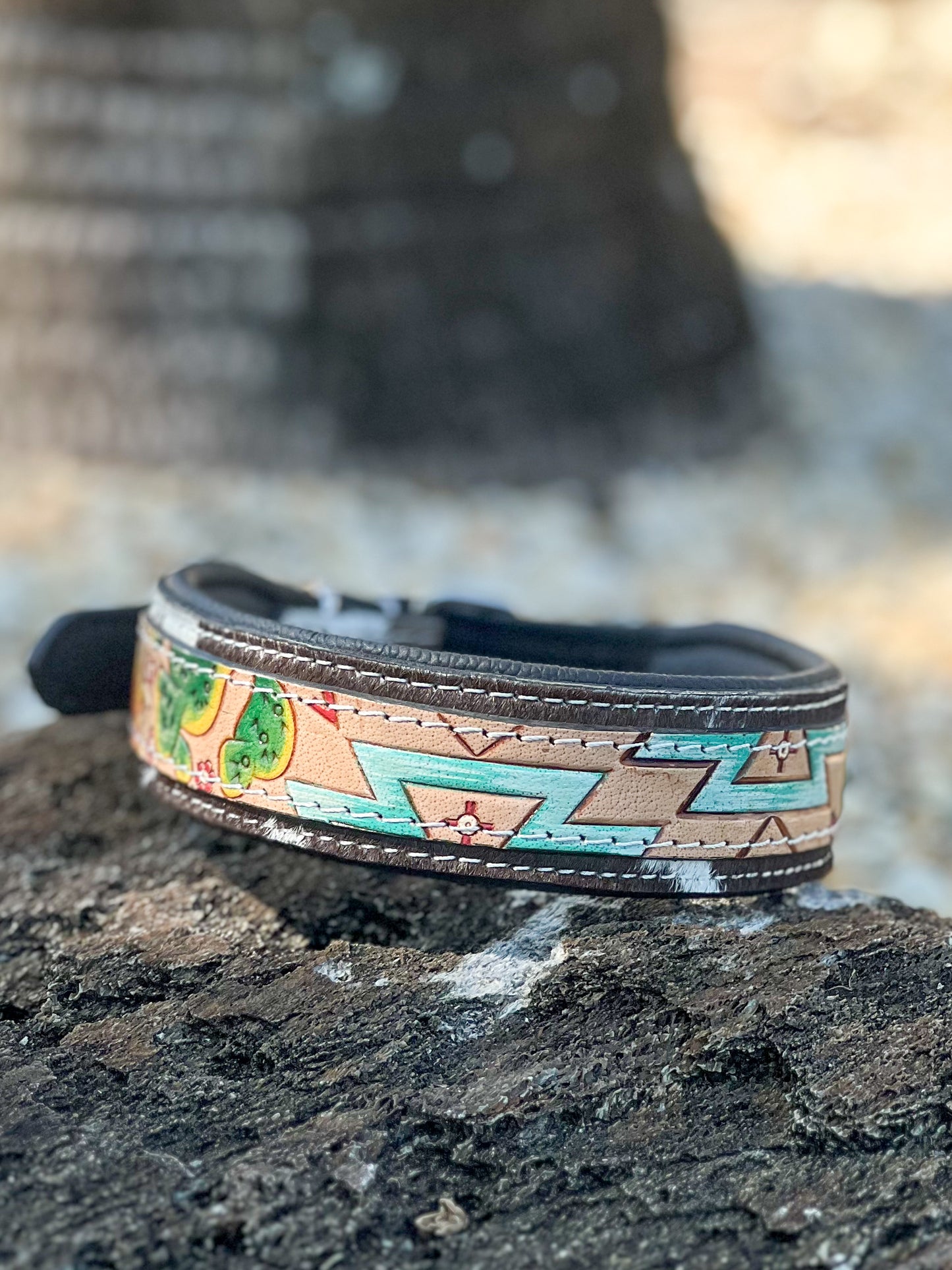 DESERT WANDERER 2 (L) hand tooled painted design and cowhide dog collar