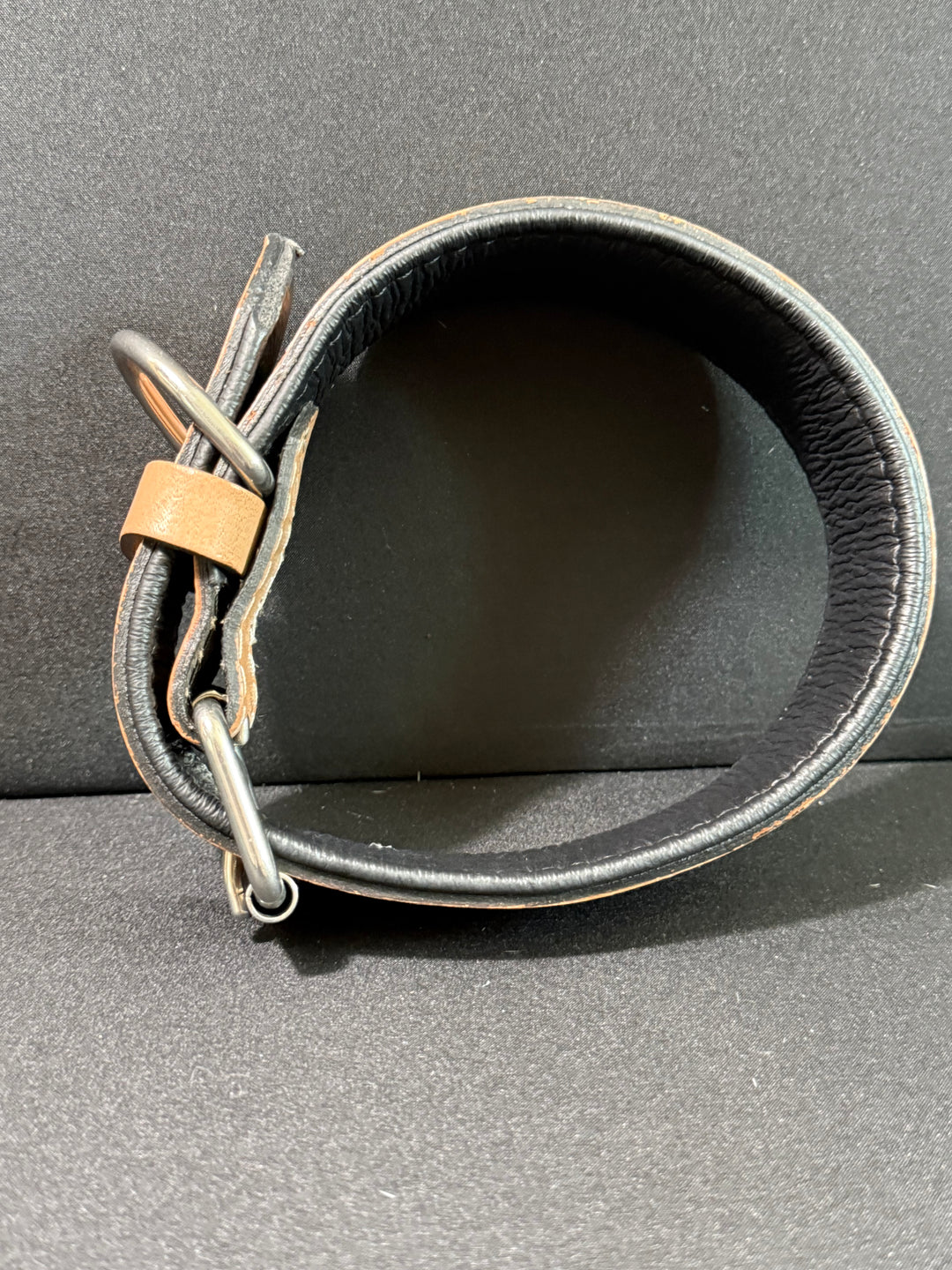 Magnolia Beau | (M/L) Natural Floral Leather Hand Tooled Dog Collar