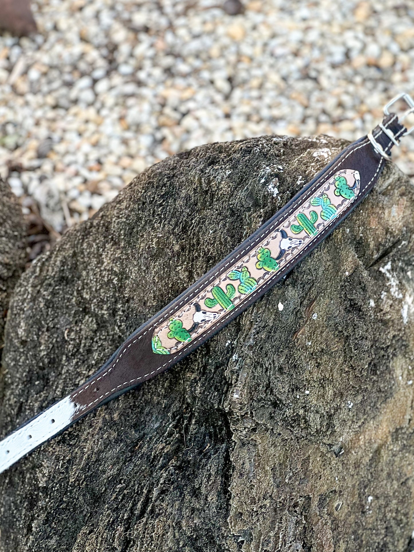 TRAIL BLAZER dog collar (M/L) cowhide and tooled leather hand painted bull cacti design