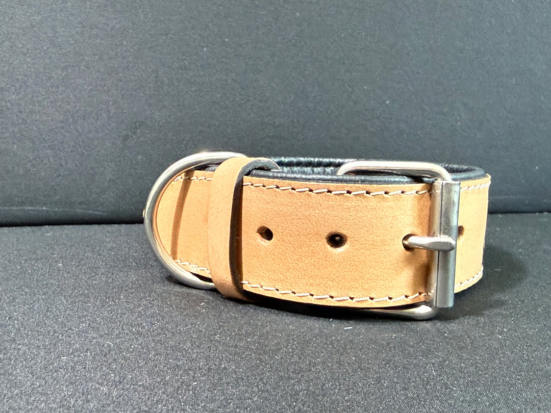 Magnolia Beau | (M/L) Natural Floral Leather Hand Tooled Dog Collar