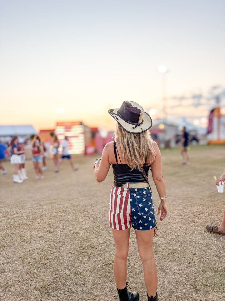 Judy Blue Full Size High Waist Americana Flag Fray Hem Shorts Plus Size