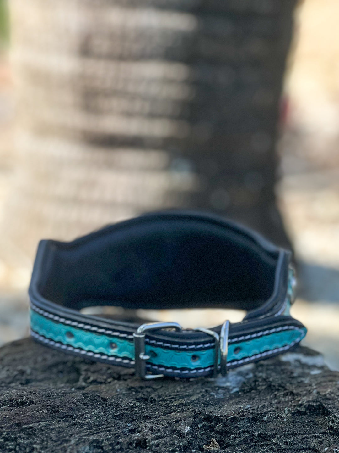 Turquoise Outlaw : (L) Hand Tooled Leather and Cowhide Studded Dog Collar