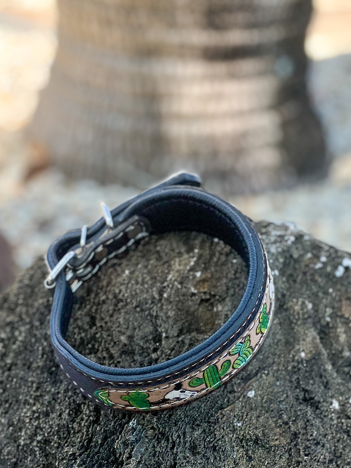 TRAIL BLAZER dog collar (M/L) cowhide and tooled leather hand painted bull cacti design