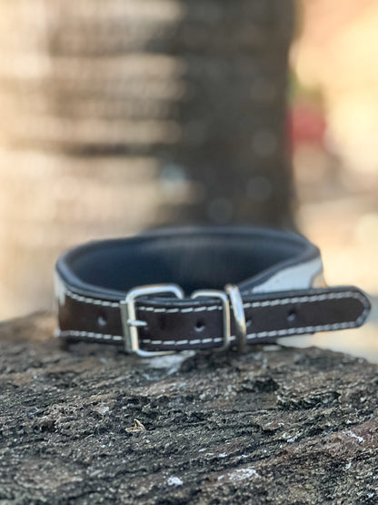 DESERT WANDERER 2 (L) hand tooled painted design and cowhide dog collar