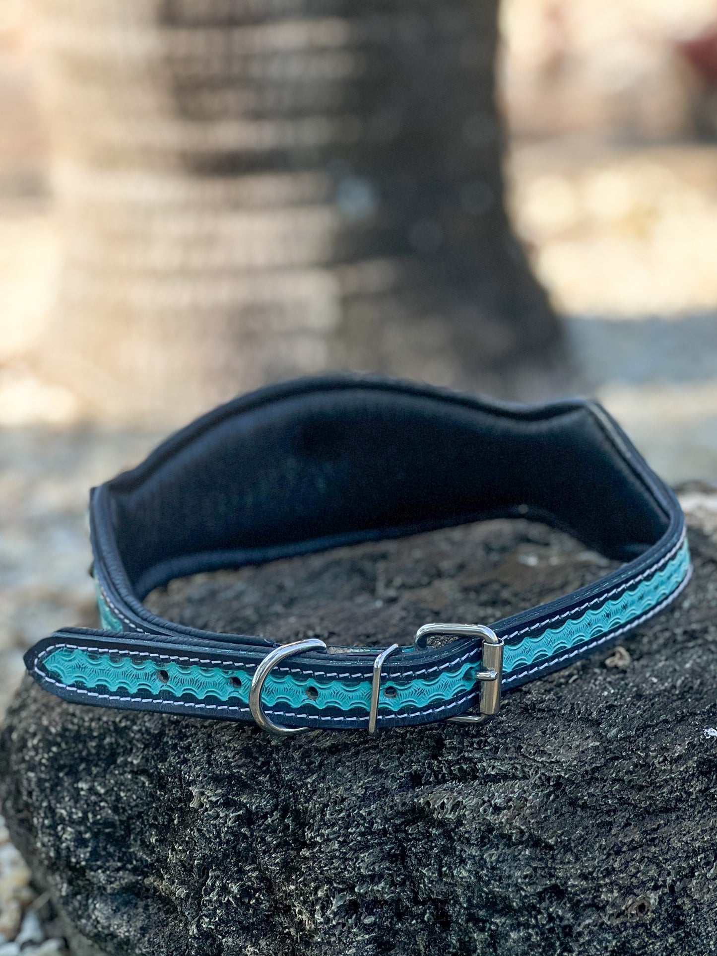 TURQUOISE OULAW (XL) Hand tooled leather and cowhide studded dog collar