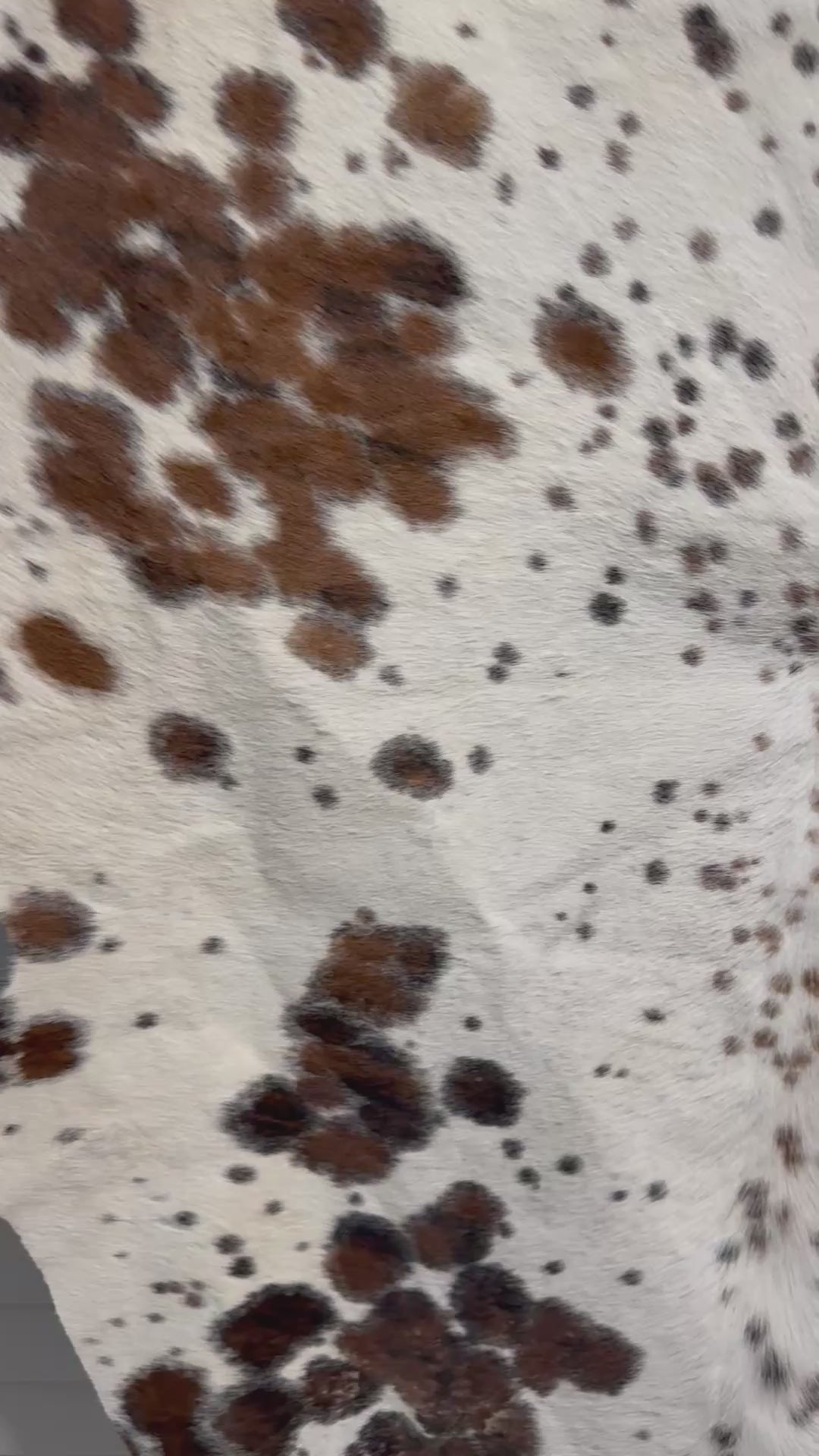 Tricolor Spotted Cowhide Rug | Genuine Hair-on Cowhide | Large 54” x 62” Western Area Rug